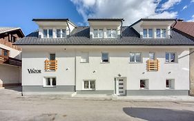 Apartments Viktor
